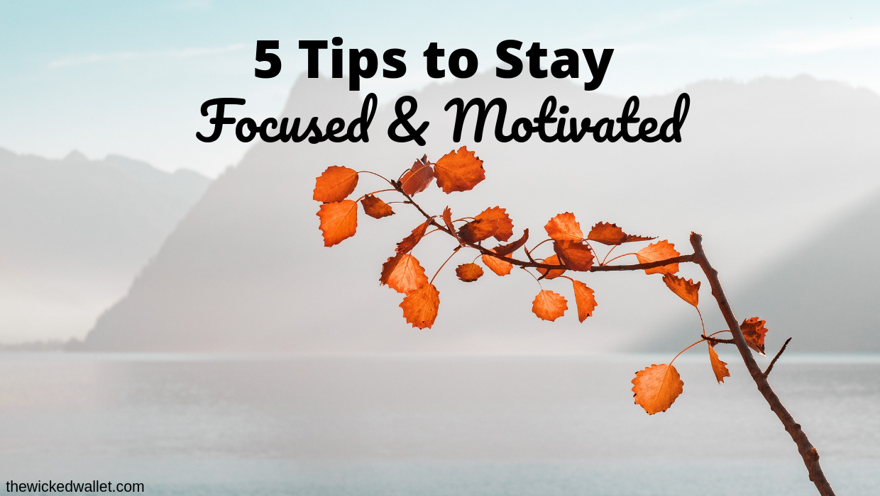 Read more about the article 5 Tips to Stay Focused & Motivated