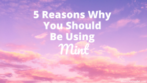 5 Reasons Why You Should Be Using Mint