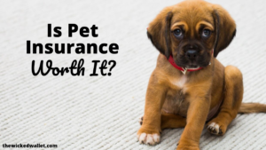 Is Pet Insurance Worth It