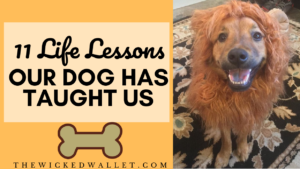 Has your dog has a huge impact on your life? Ours sure has. Here are 11 life lessons that our dog has taught us. :)
