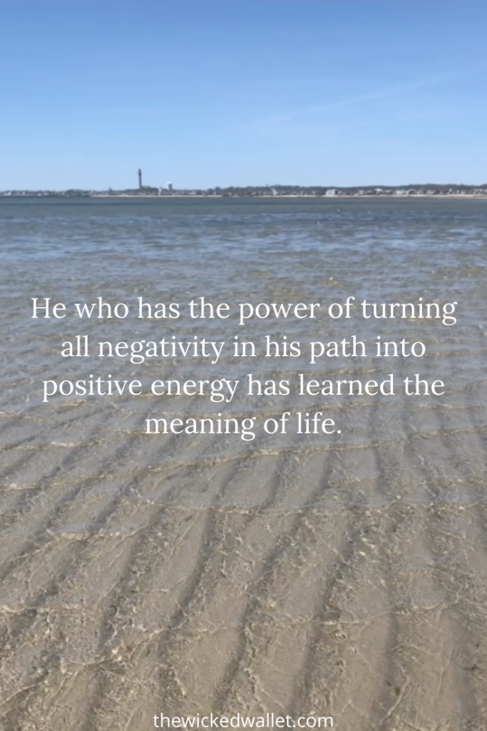 He who has the power of turning all negativity in his path into positive energy has learned the meaning of life. 
