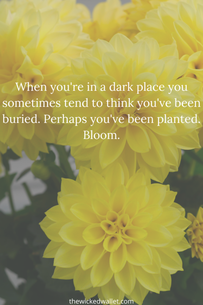 When you're in a dark place you sometimes tend to think you've been buried. Perhaps you've been planted. Bloom. 